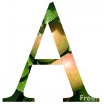 2001_01_3---Letter-A_web