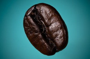 2278674528_b01b0cf359 A Coffee Bean