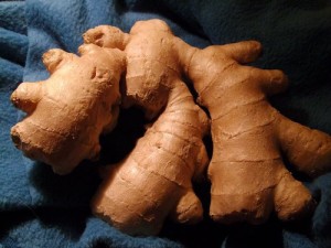 1987820964_bc54df0d81 άκρως θερμαντική η ρίζα ginger (photo from vieux bandit)