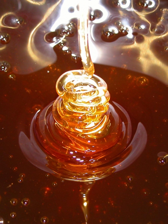 draft_lens2380706module13484031photo_1232089814honey-spiral_crop_b1
