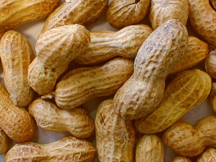peanuts_shell_raw